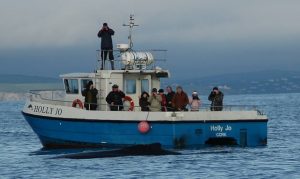 Watching a humpback whale off West Cork aboard the Holly Jo with Cork Whale Watch