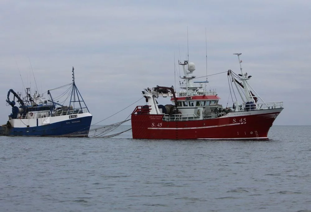 Pair trawlers targeting sprats off West Cork
