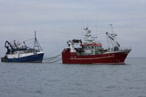 Trawlers targeting sprats off West Cork