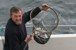 Colin showing whale watchers the sprats whales are feeding on