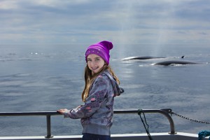 Whale watching is a fantastic experience for all ages  